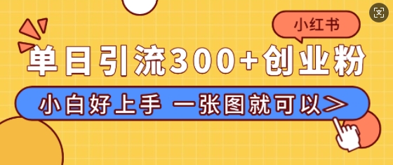 小红书单日引流300+创业粉，“简单粗暴”引流法，小白好上手，私信回不完-斜杠青年