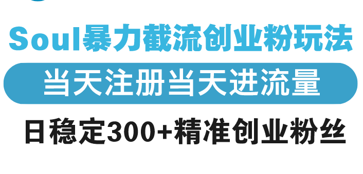 （13935期）Soul暴力截流创业粉玩法，当天注册当天进流量，日稳定300+精准创业粉丝-斜杠青年