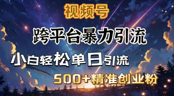 跨平台暴力引流，私域完美闭环，日引500+精准创业粉-斜杠青年