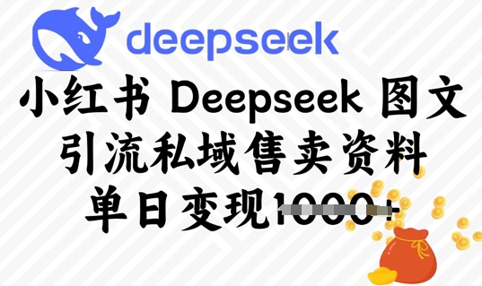 小红书Deepseek 图文引流私域售卖资料，单日变现多张-斜杠青年
