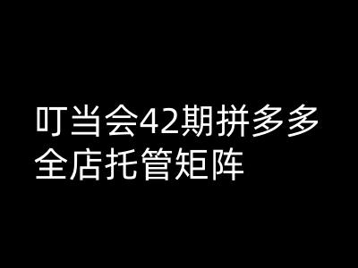 叮当会拼多多打爆班原创高阶技术第42期，拼多多全店托管矩阵-斜杠青年