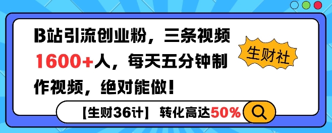 B站引流创业粉，单日最高1600+精准粉丝，单月变现过w-斜杠青年