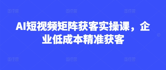 AI短视频矩阵获客实操课，企业低成本精准获客-斜杠青年